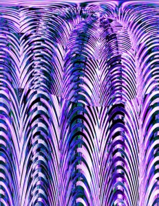 wallpaper design Blue ferns