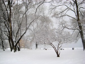 Sutherland park after fresh snow